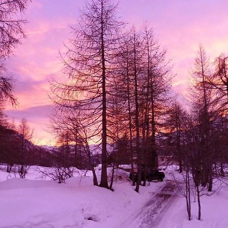 Chalet Miel De La Cayolle-Estenc Entraunes ภายนอก รูปภาพ
