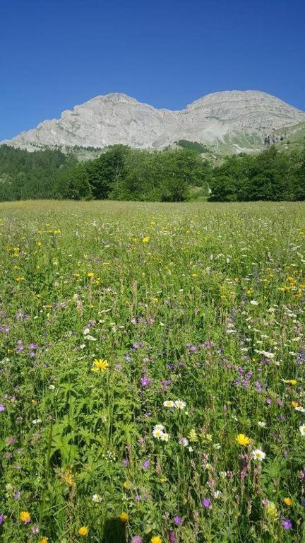 Chalet Miel De La Cayolle-Estenc Entraunes ภายนอก รูปภาพ
